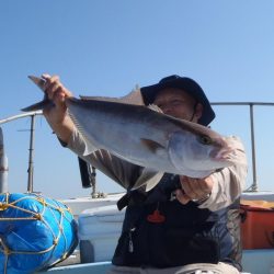 青物落とし込み釣り