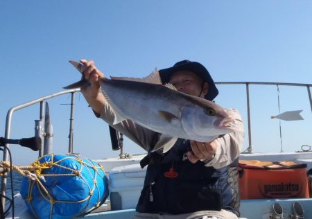 青物落とし込み釣り