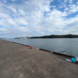 久しぶりの大物です。