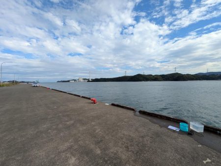 久しぶりの大物です。