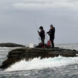 和歌山市江（吉丸渡船）でグレ釣り