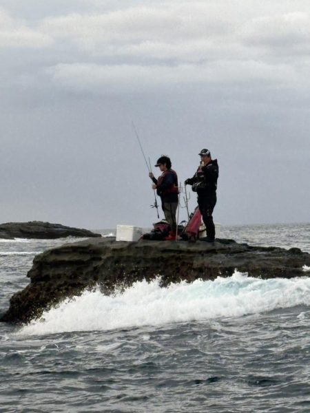 和歌山市江（吉丸渡船）でグレ釣り