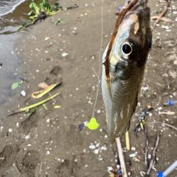 ちょい投げどアジング