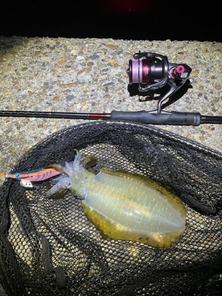 秋🦑　釣れれば楽しい&#x…