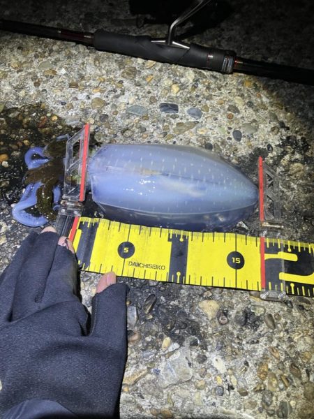 秋🦑 横風のなかエギング😅