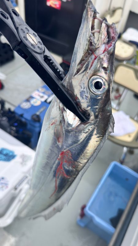 タチウオ/タチウオテンヤ