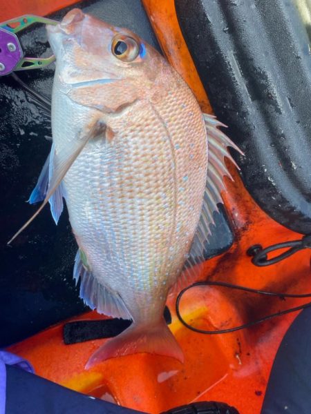 カヤックフィッシング