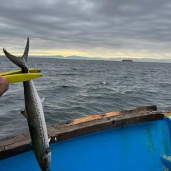 無限サゴシ再び…