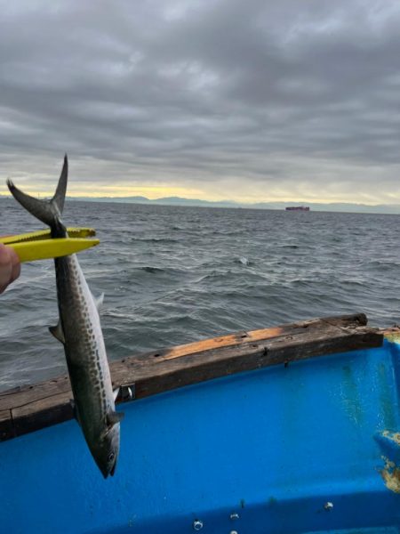 無限サゴシ再び…