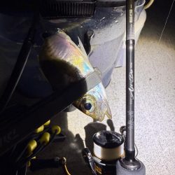 鯵道5Ｇ鱗付け！