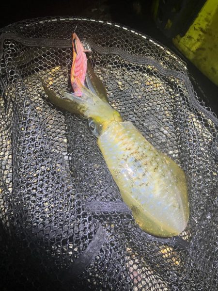 秋🦑何とか5杯(^.^)