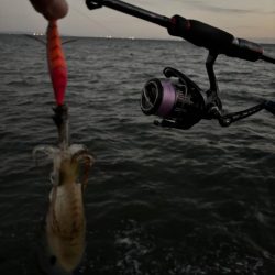 エギング朝　波がえぐい