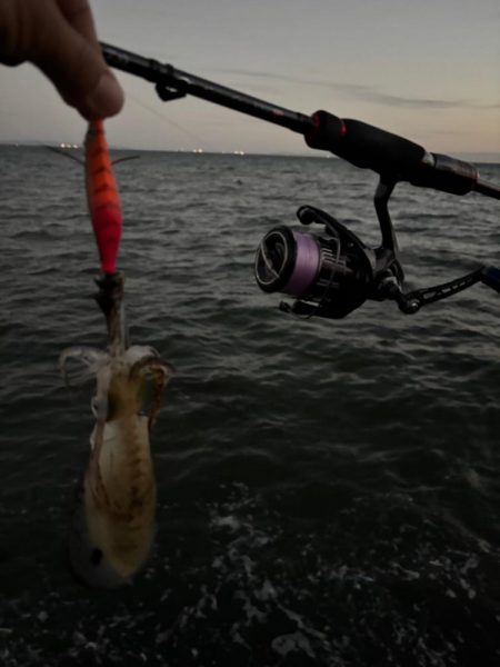 エギング朝　波がえぐい