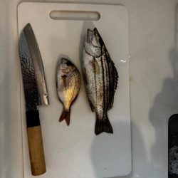 ファミリーフィッシング🎣