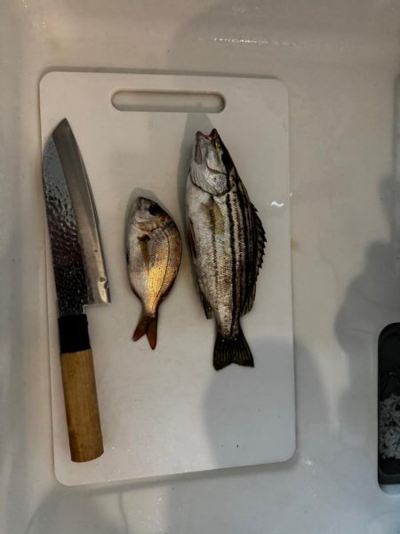 ファミリーフィッシング🎣