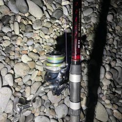 サーフカゴ釣り