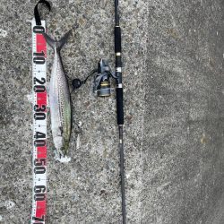 サゴシ祭り参加