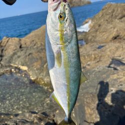 和歌山沖磯ロックショア