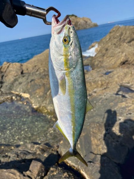 和歌山沖磯ロックショア