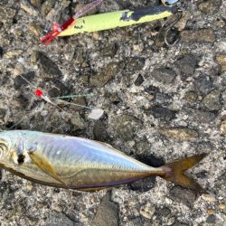 ジグサビキ　39