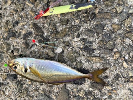 ジグサビキ　39