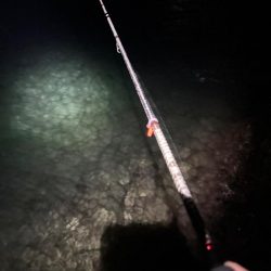 釣り吉三平さんと