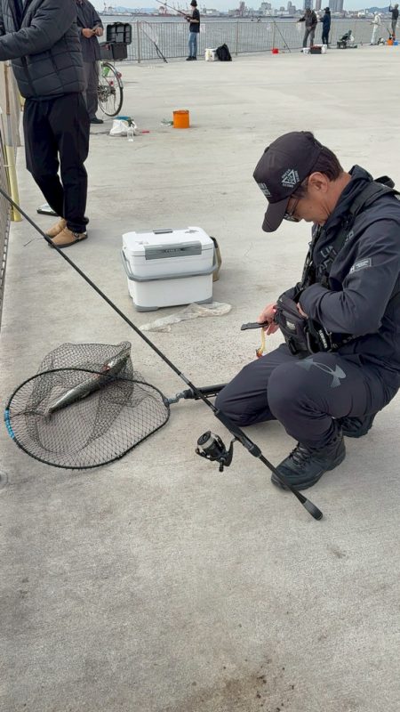 サゴシ釣り2日目