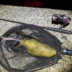 秋🦑　爆風エギング😅