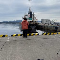 たまにはのんびりサビキ釣り