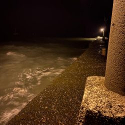 アジング釣査　爆釣