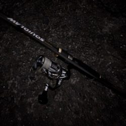 ナイトエギング