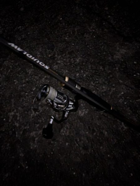 ナイトエギング