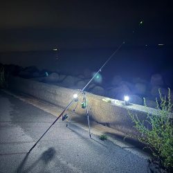 落ちギス狙いに