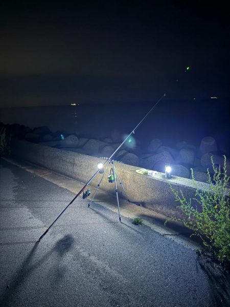 落ちギス狙いに