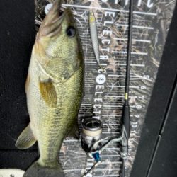 大雨の池原ダム