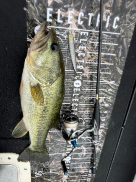 大雨の池原ダム