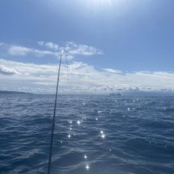 カヤックフィッシング