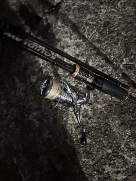 エギング　雨で中断でした