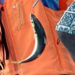 サバゲーでプラクティス