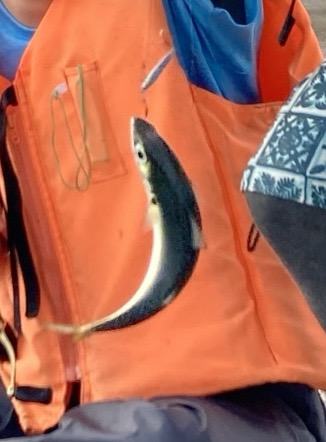 サバゲーでプラクティス