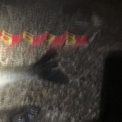 腕パンパン！1時間で60up4本初釣果