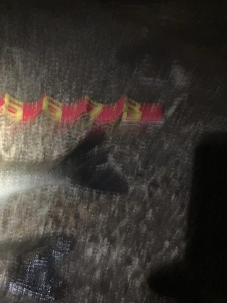 腕パンパン！1時間で60up4本初釣果