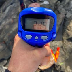 美味しそうなアラ