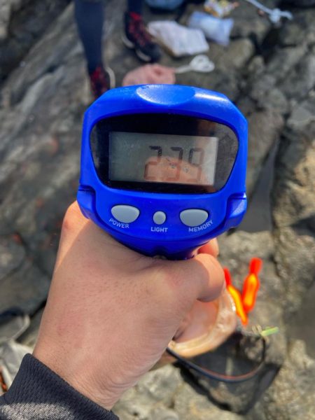 美味しそうなアラ