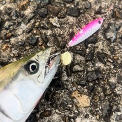 ブレードライトジギング