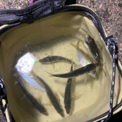 月明かりあると難しい