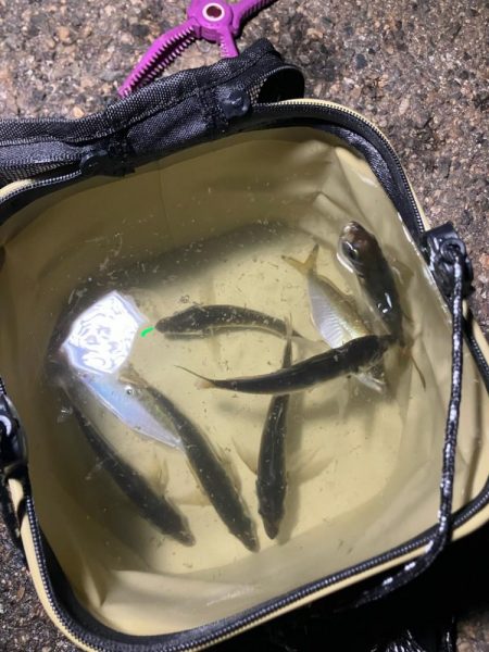 月明かりあると難しい