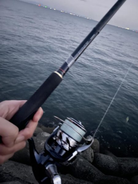 メジロがデタ！