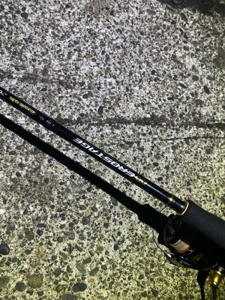 短時間エギング