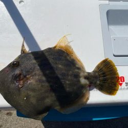 今シーズン初ウマズラ！